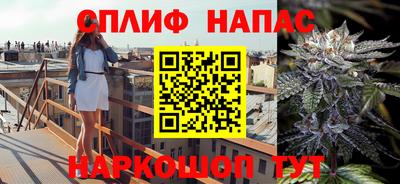 прущие грибы Краснокаменск