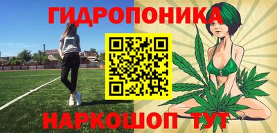 прущие грибы Краснодар