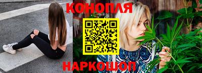 прущие грибы Краснодар